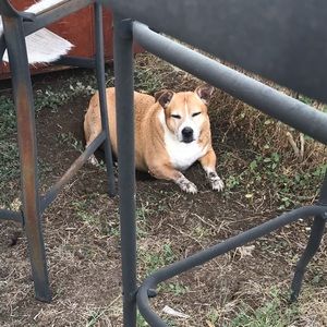 Meet your Posher, Jackie